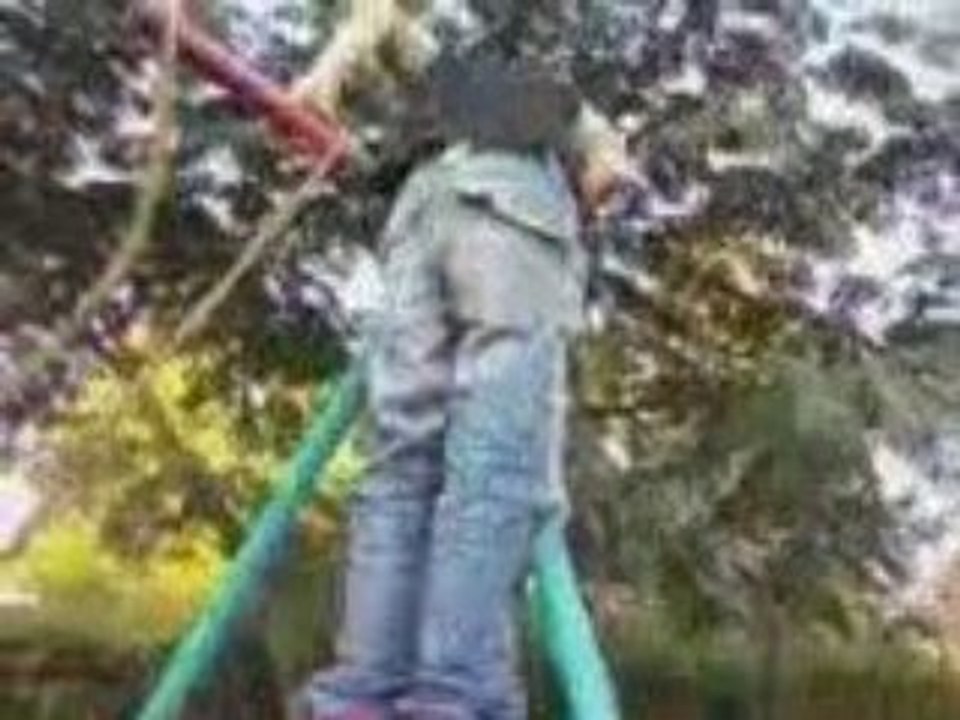 Regis le singe