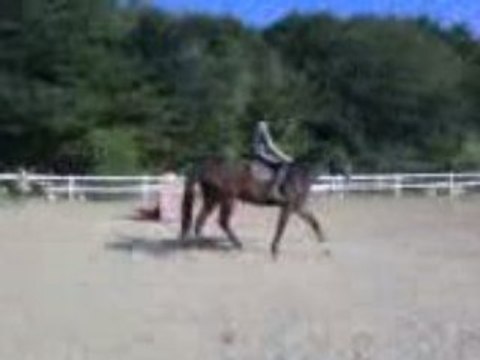 cours samedi 27 sept 2008