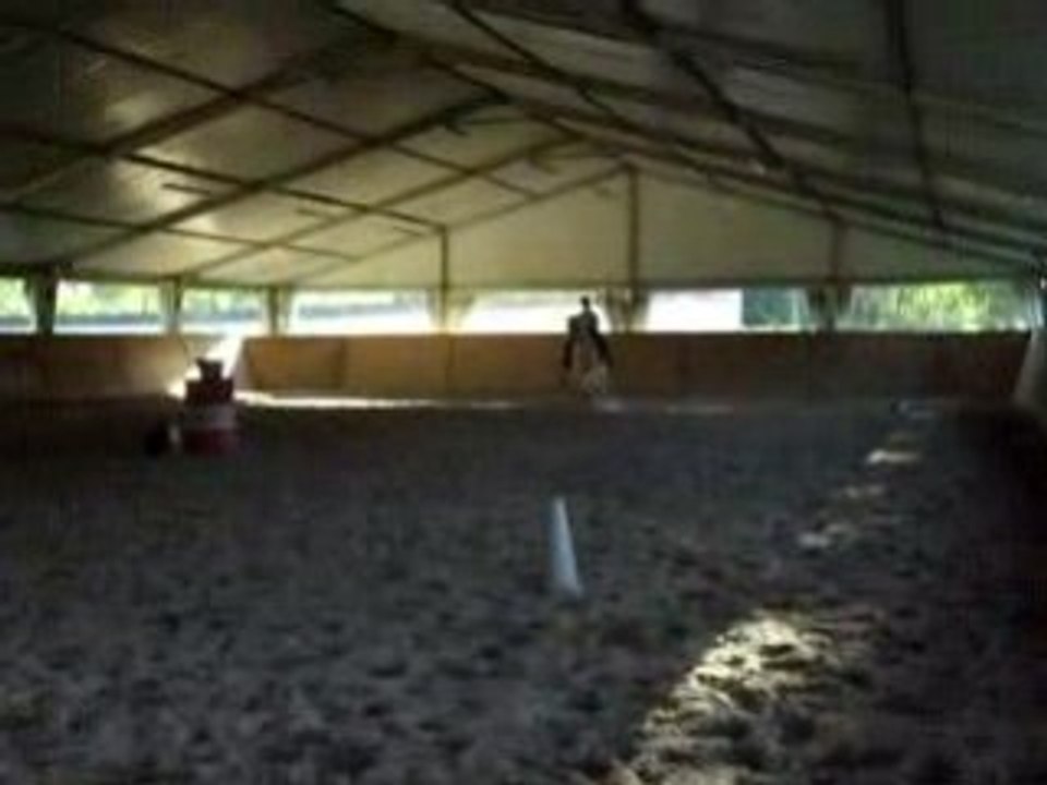 déplacement au trot