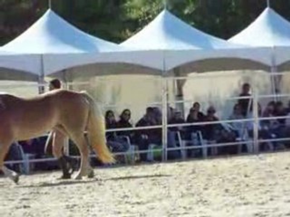 Pauline et Naïade aux RDV étho (4ème partie)