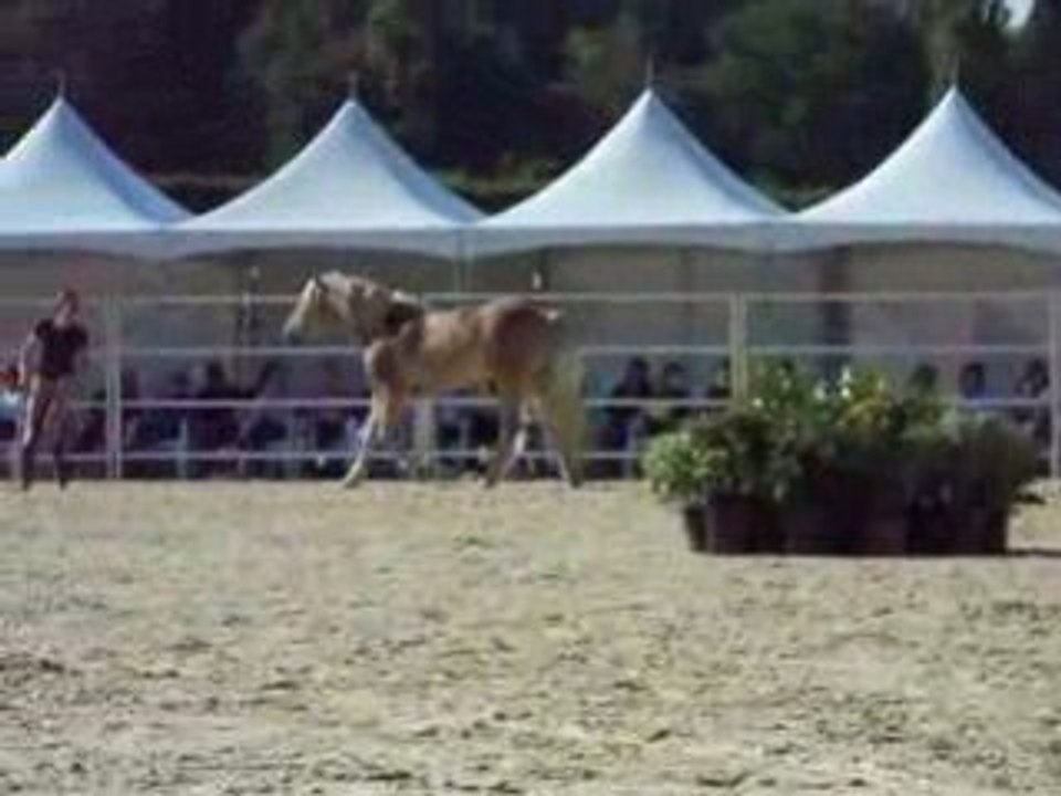 Pauline et Naïade aux RDV étho (5ème partie)