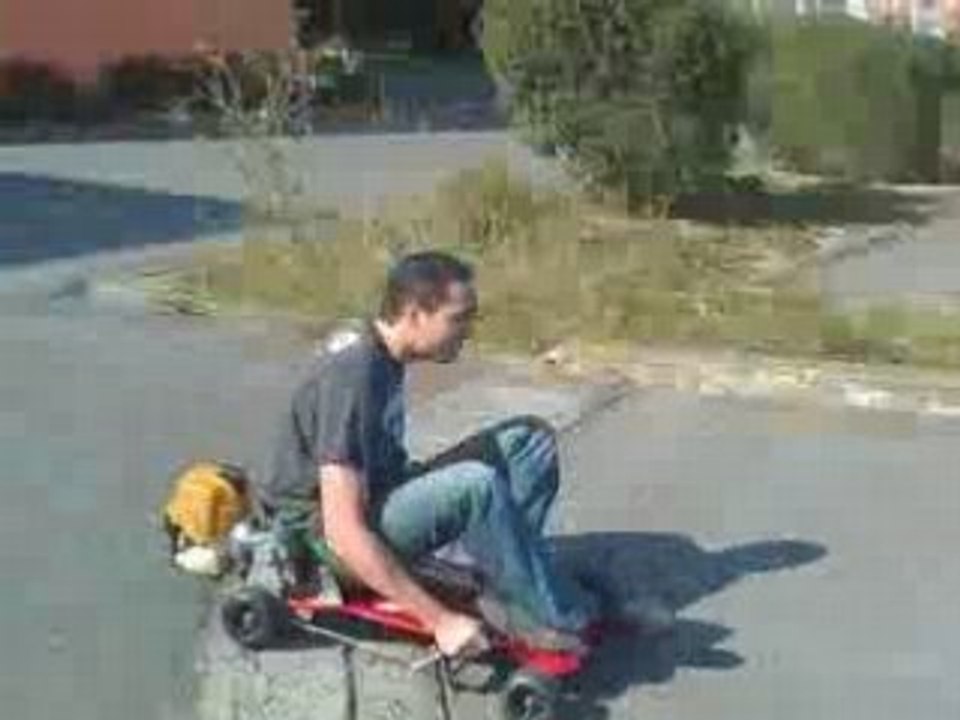 Street turtle