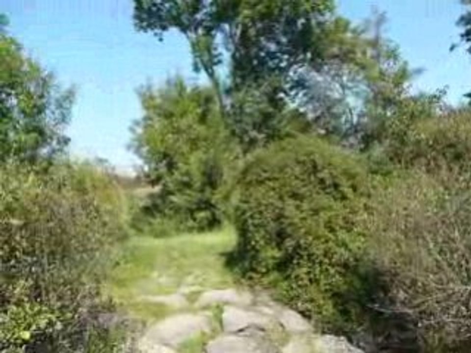 P1020450