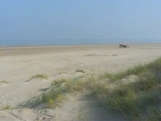 Sortie du 28 septembre 2008