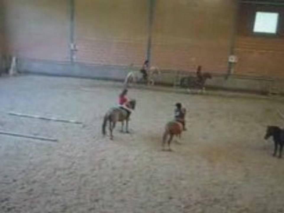 Au galop avec Darwin !!