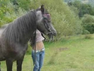 Ravageur filet longe ruisseau (aout 2008)