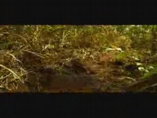 no limit mighty ki la kaf malbar