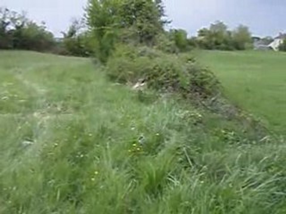 Un petit saut en dirt 250