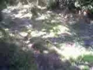 toujours le chemin refait en moto