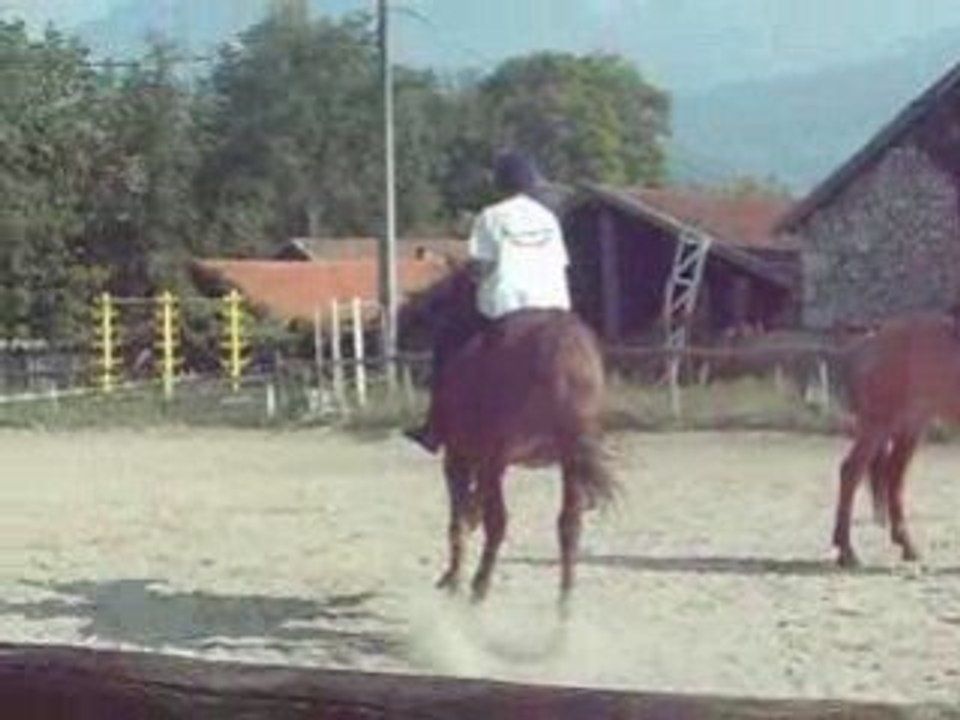 Galop doudou