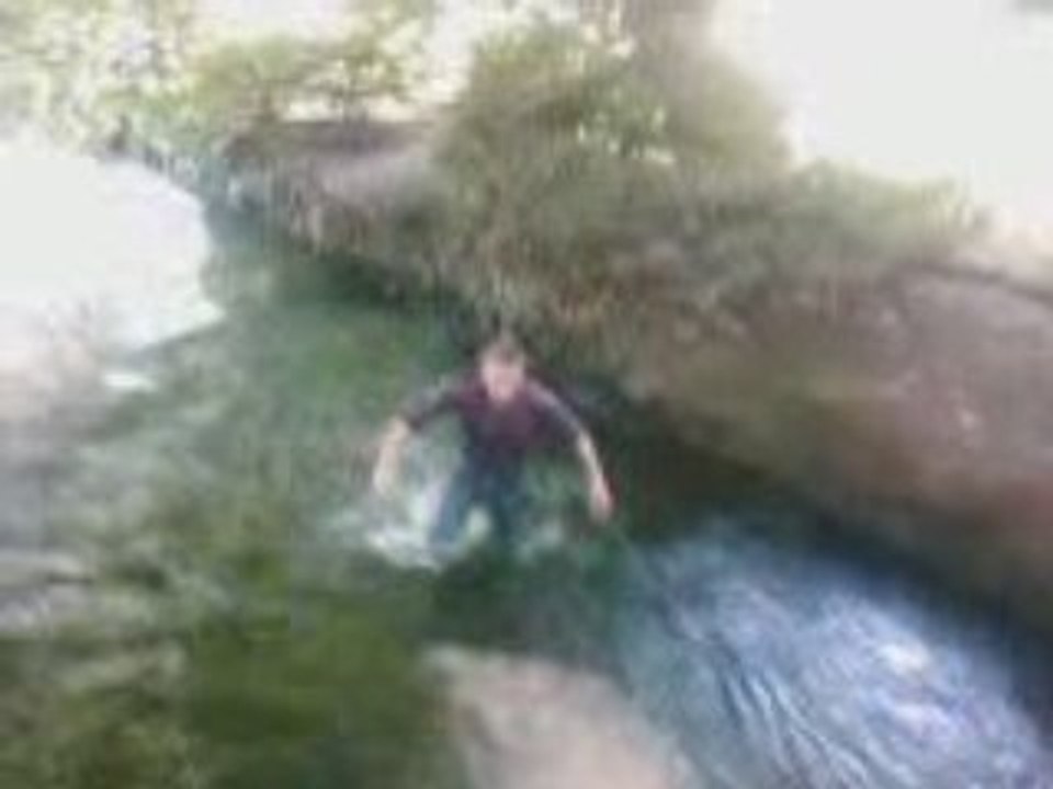 Jackass cailloux