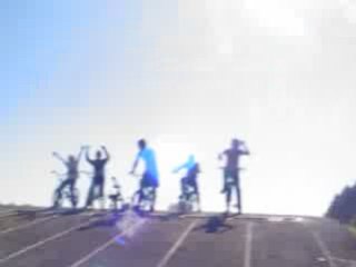 Power ranger des bois