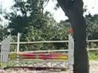 Kavall & Pooki cso club 2 28/09/08