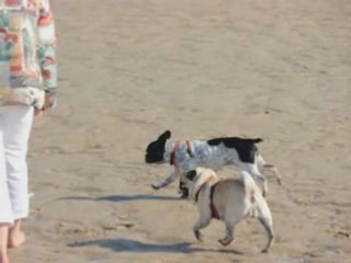 BALLADE AVEC DIWAN 2