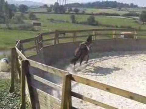 Longe à main droite ^^