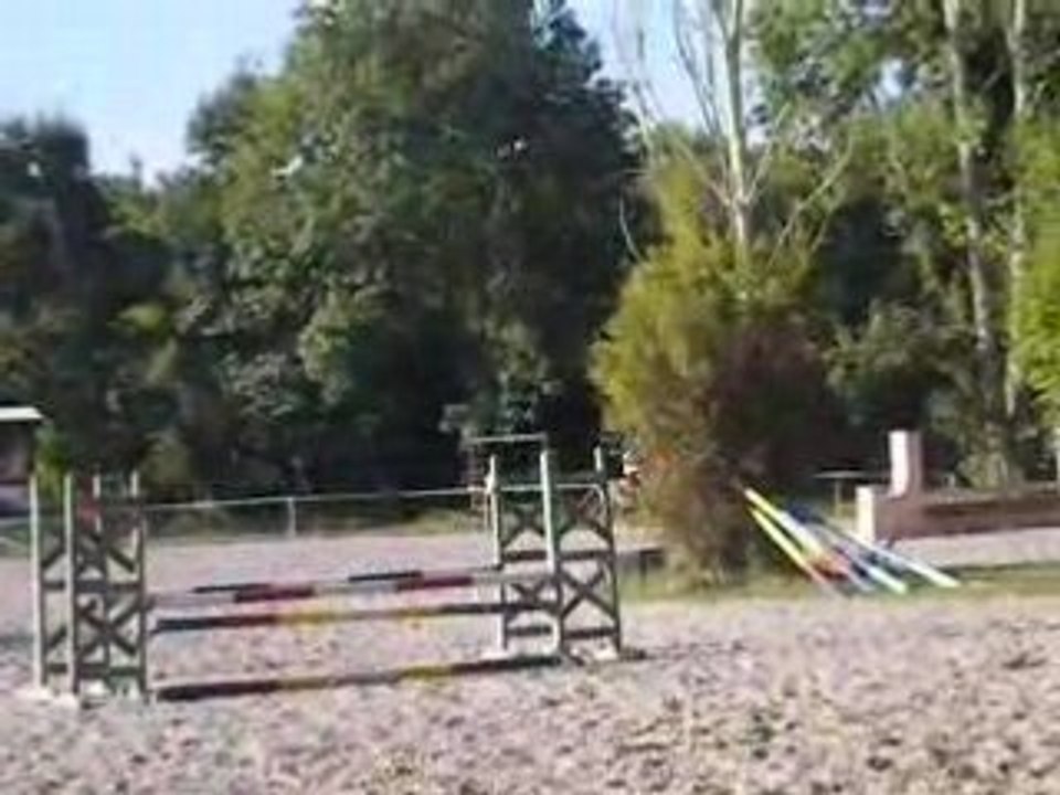 DSCN5011