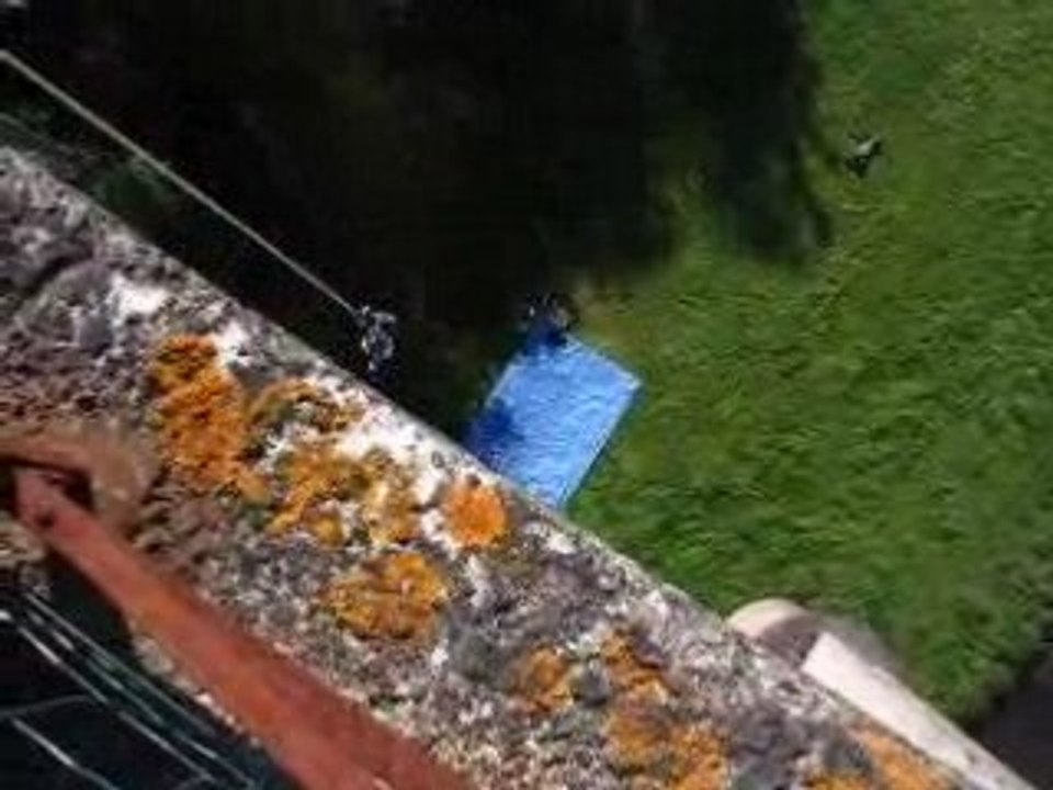 Saut à l'élastique