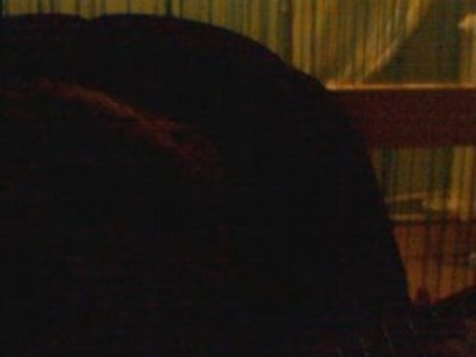 sadness and sorow par ma coco