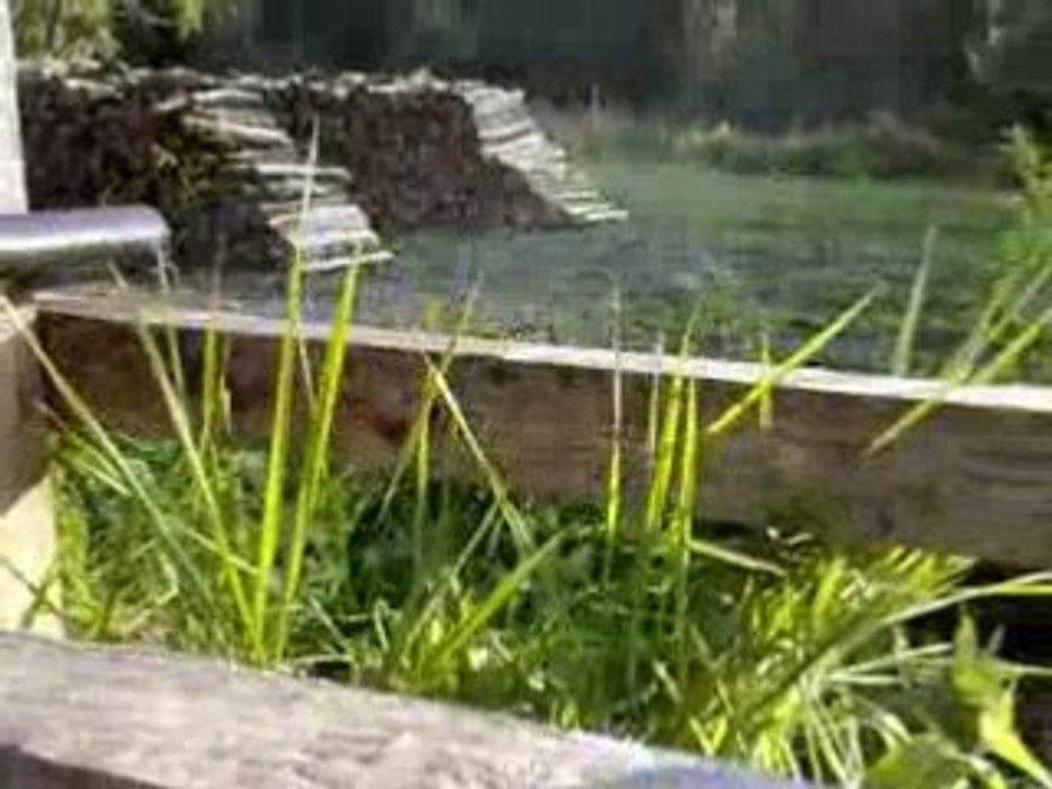 Test patator