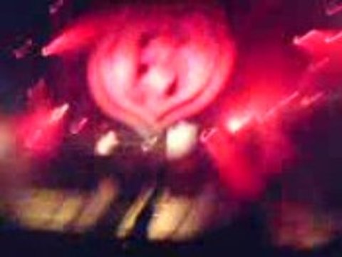 Eternal Bliss 6 Years 2008 Korsakoff