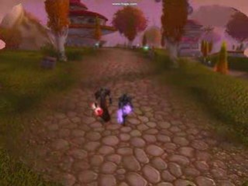 PVP SAUVAGE MAGE VOLEUR