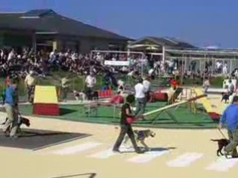 Bouchemaine : Chiens Guides d'Aveugles de l'Ouest