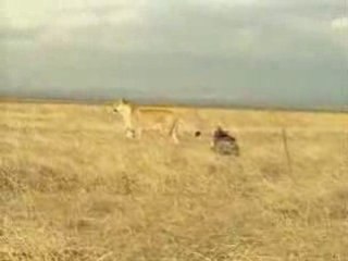 Un kamikaze  une mission-suicide