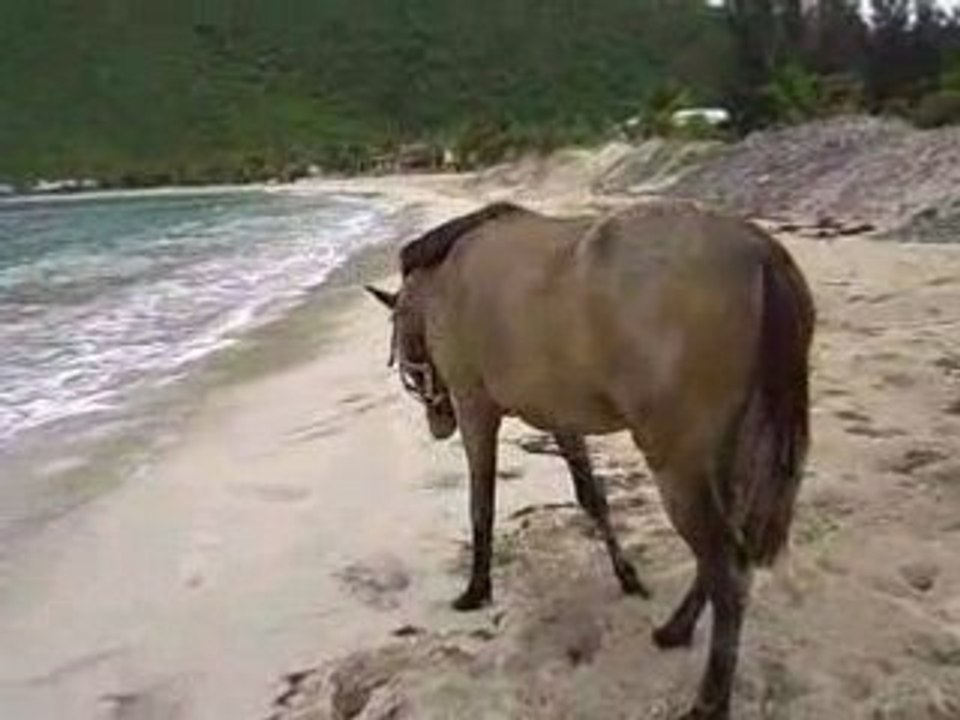 retour à la plage après la blessure