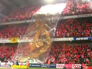 Standard Anderlecht tifo