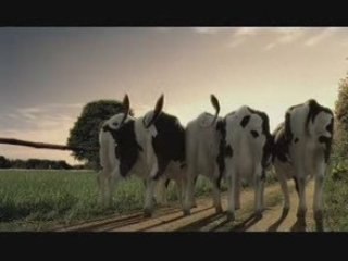 Laciate samo mleko 2008 reklama