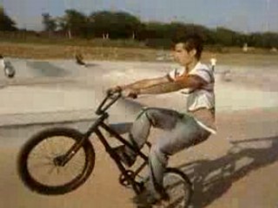 Gros manual de dalyl