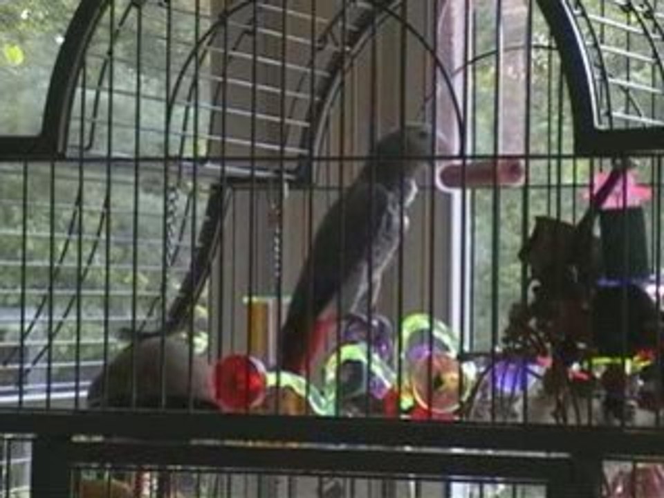 Isabelle aime tsuki coucou ma chérie