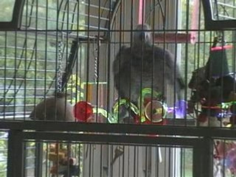 Oh elle est belle Tsuki ma chérie