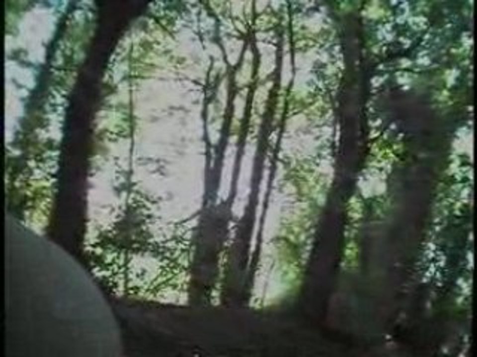 marche dans les bois