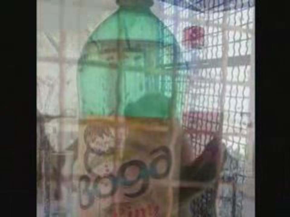 djerba 2008