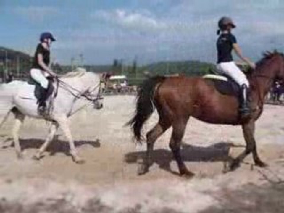 LE LUC FËTE DU CHEVAL 2008