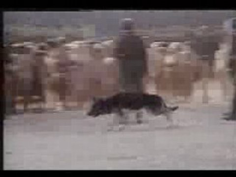 extermination(vernichtung) à Sobibor reconstitution