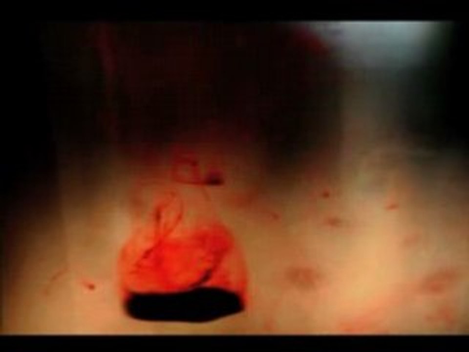 'Bleeding Poof' trailer