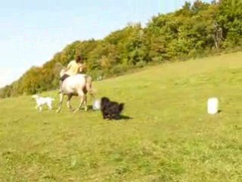 DEFI N°3 au trot