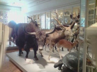 Vacances la rochelle