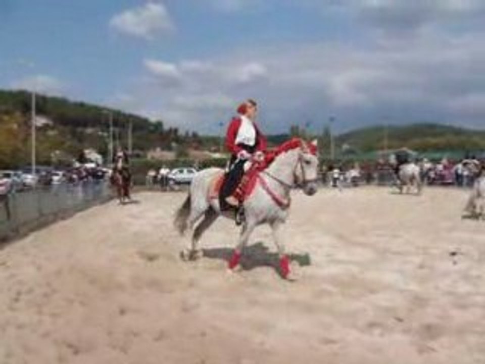 Chauffement des chevaux le luc