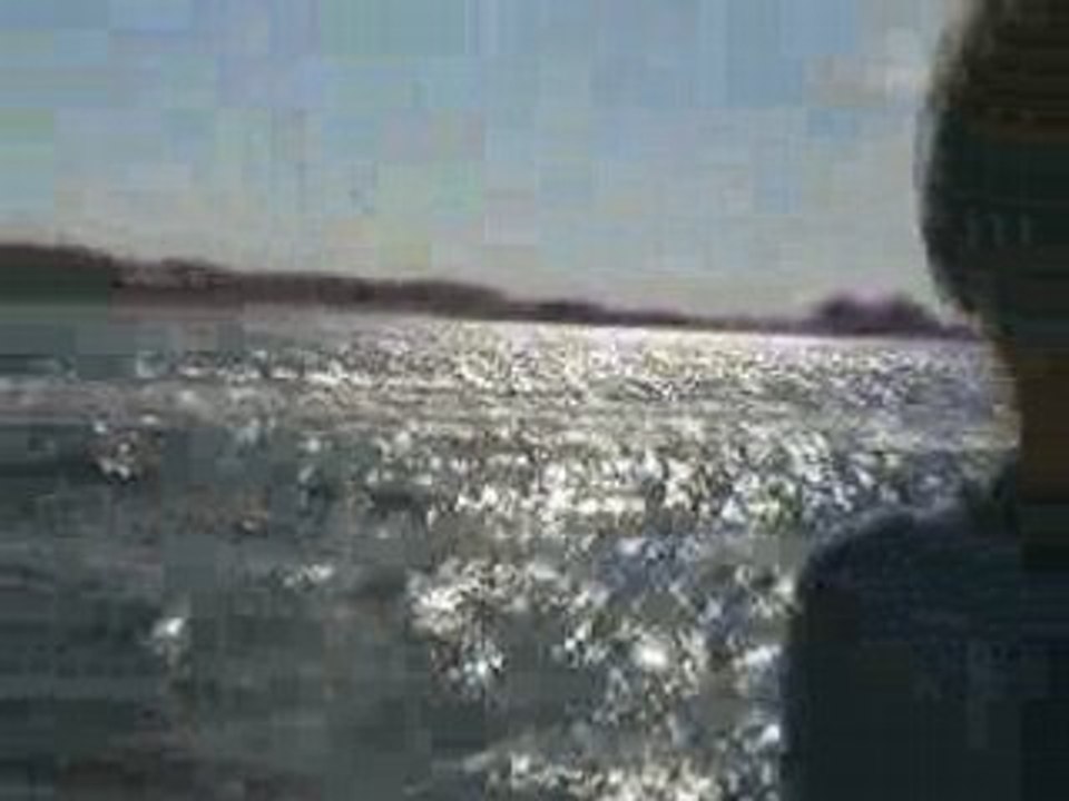 Alex ski nautique 1