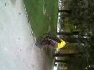 jah Q-bike drift Street Nîmes darkdog 03