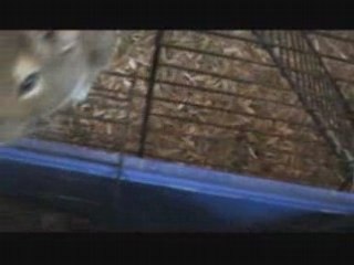Retrouvailles avec Cyclope et Albator, J+3