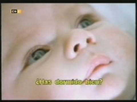 Bebes: Vision y reconocimiento de caras