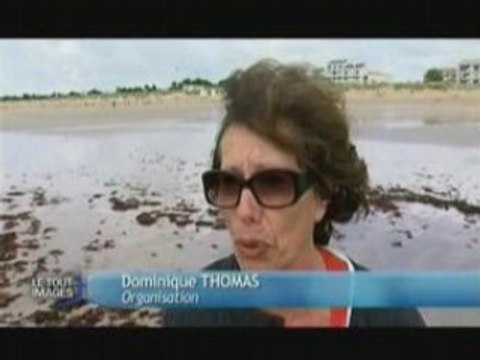 Reportage TV Vendée :Fireball Notre Dame de Monts