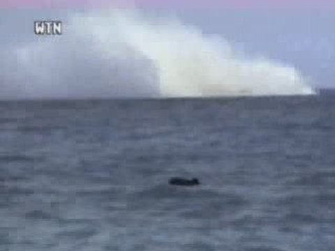 Boeing 767 tombe dans la mer !