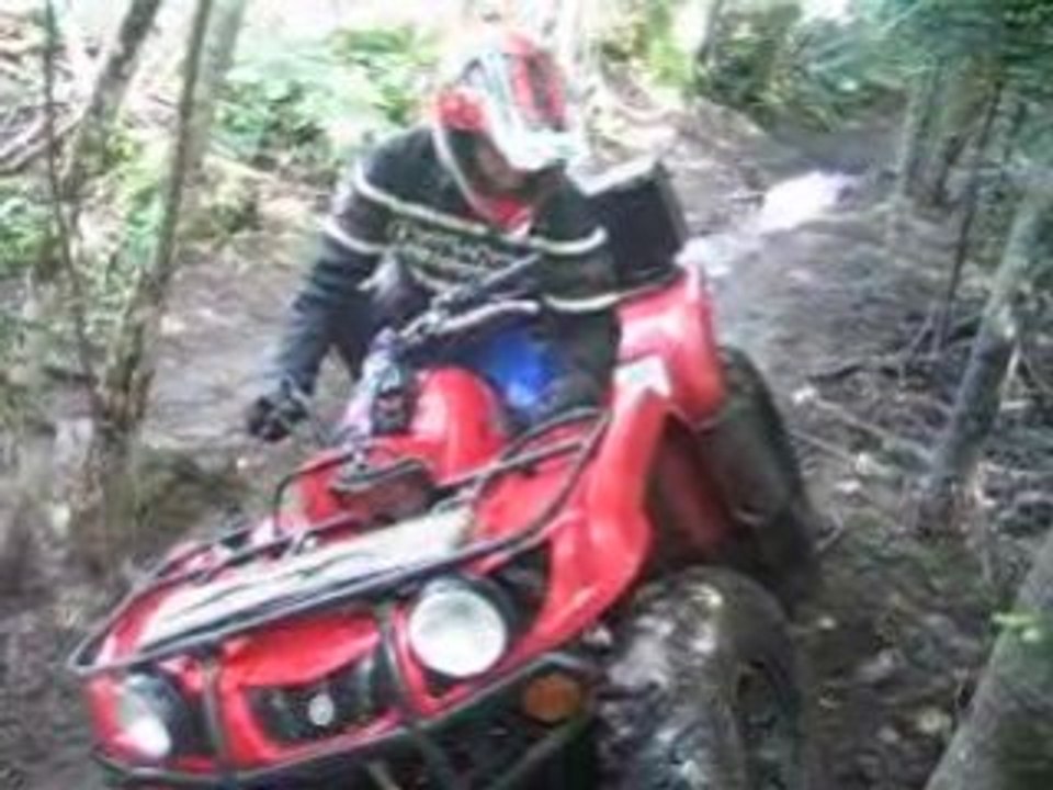 350 bruin