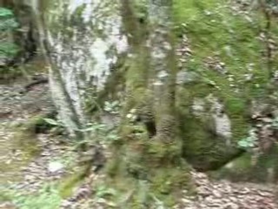 Corse Septembre 2008 - Cucuruzzu