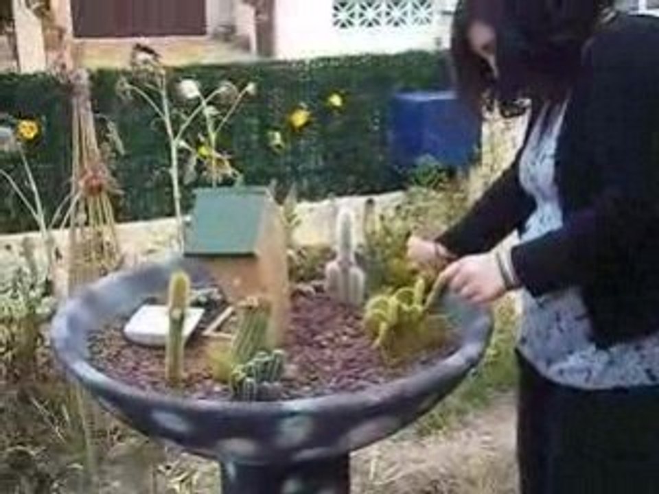 Sofia l'amie des cactus :P